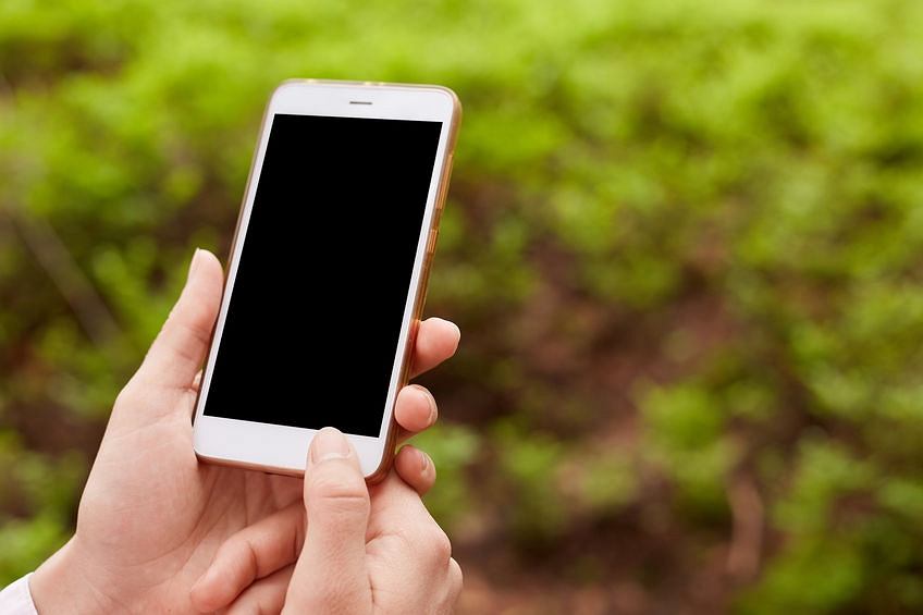 telefon